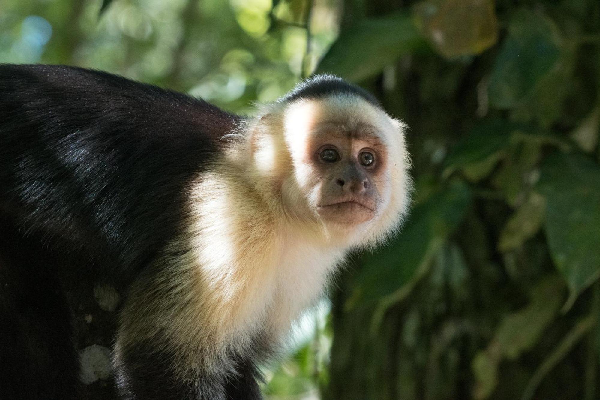 Santuario Ecologico Monteverde 外观 照片