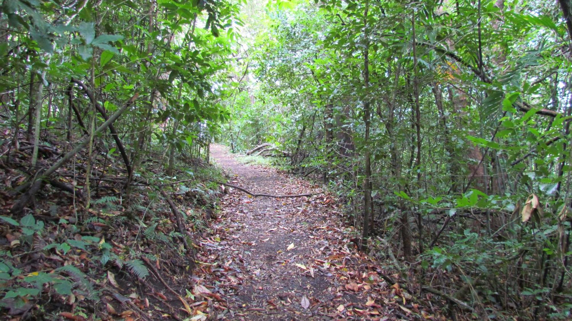 Santuario Ecologico Monteverde 外观 照片