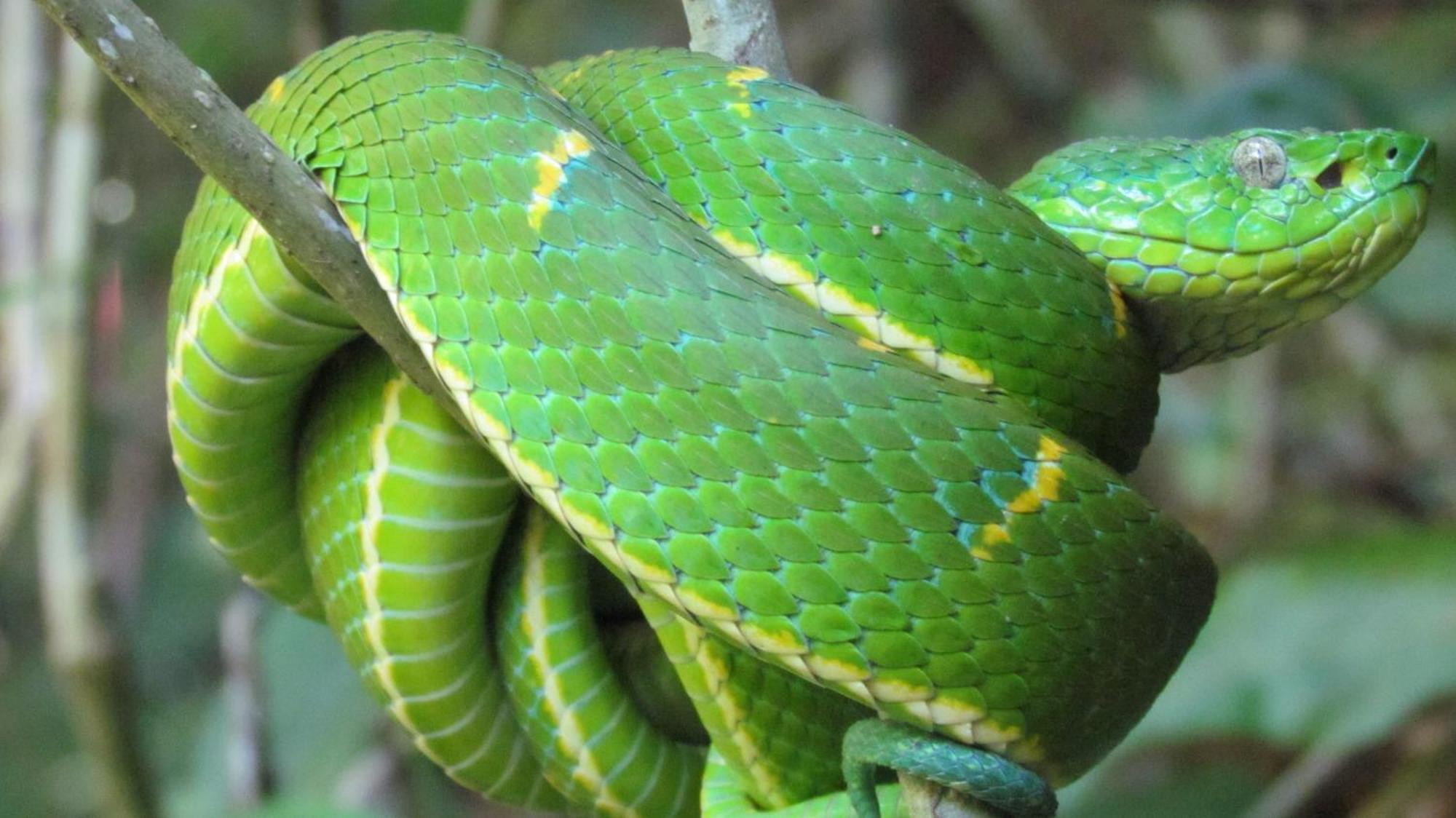 Santuario Ecologico Monteverde 外观 照片