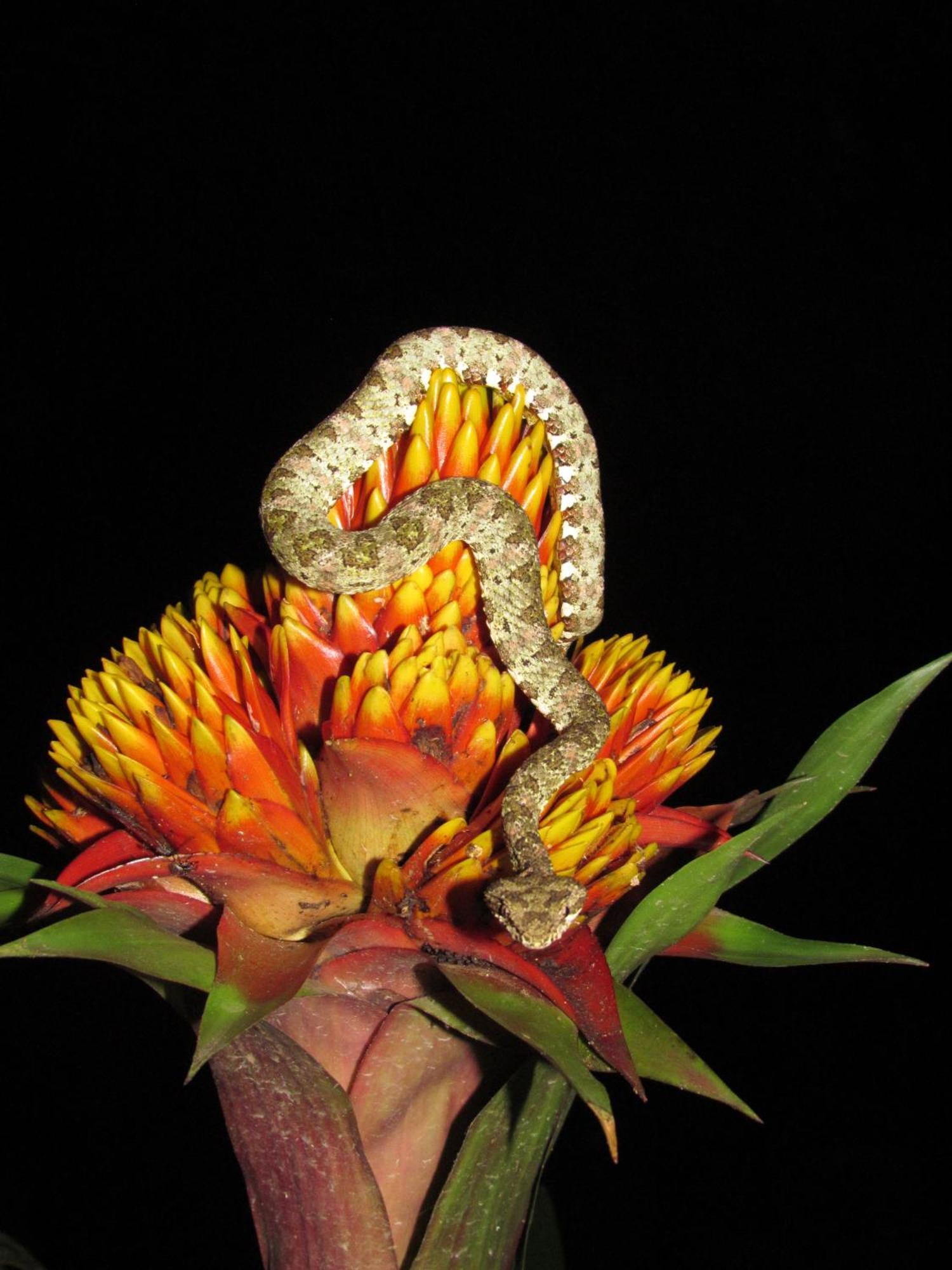 Santuario Ecologico Monteverde 外观 照片