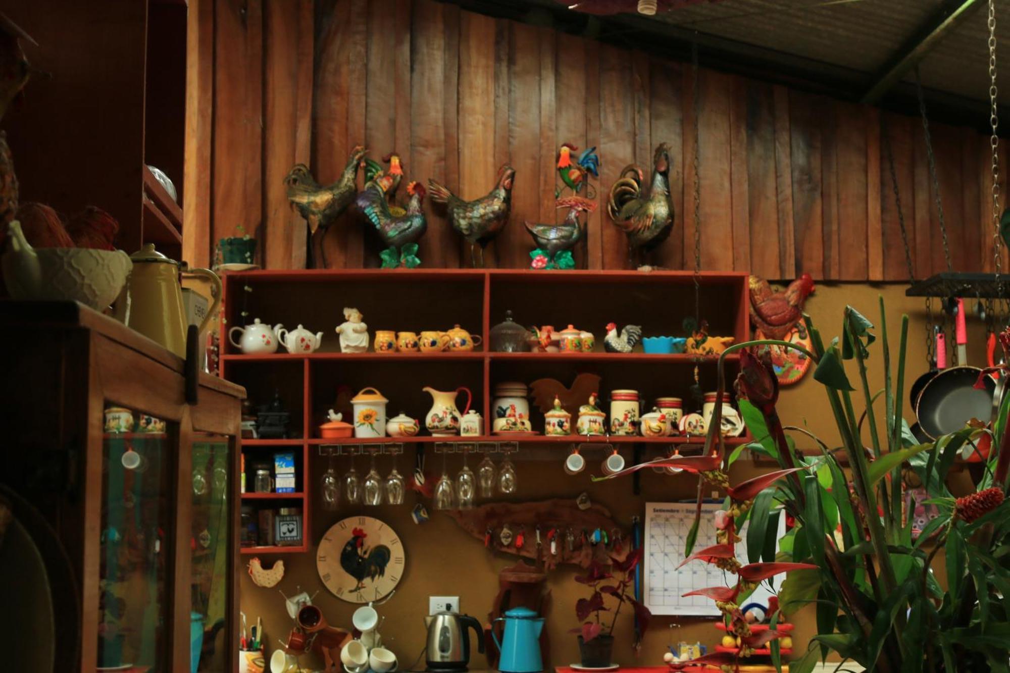 Santuario Ecologico Monteverde 外观 照片