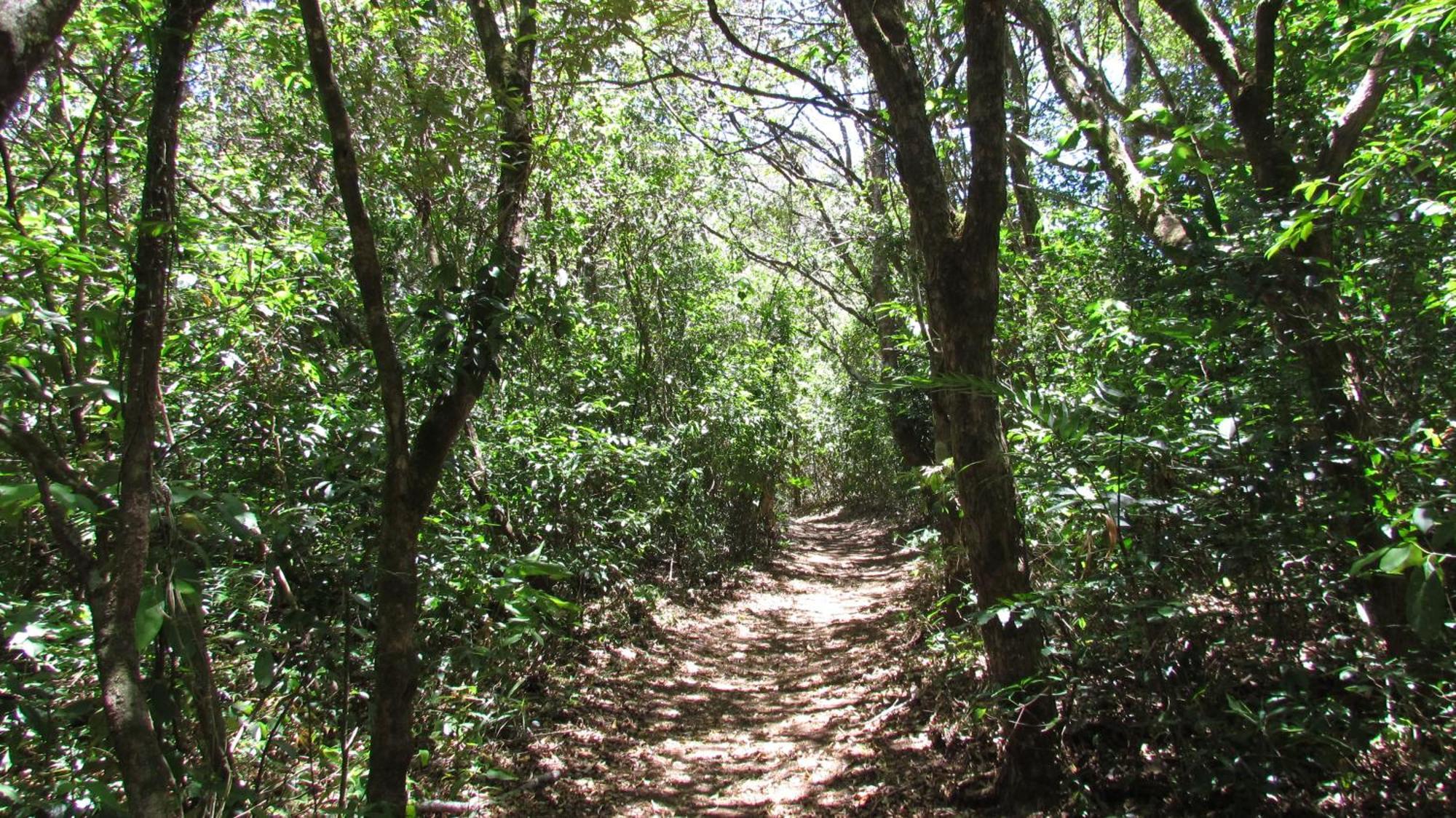 Santuario Ecologico Monteverde 外观 照片