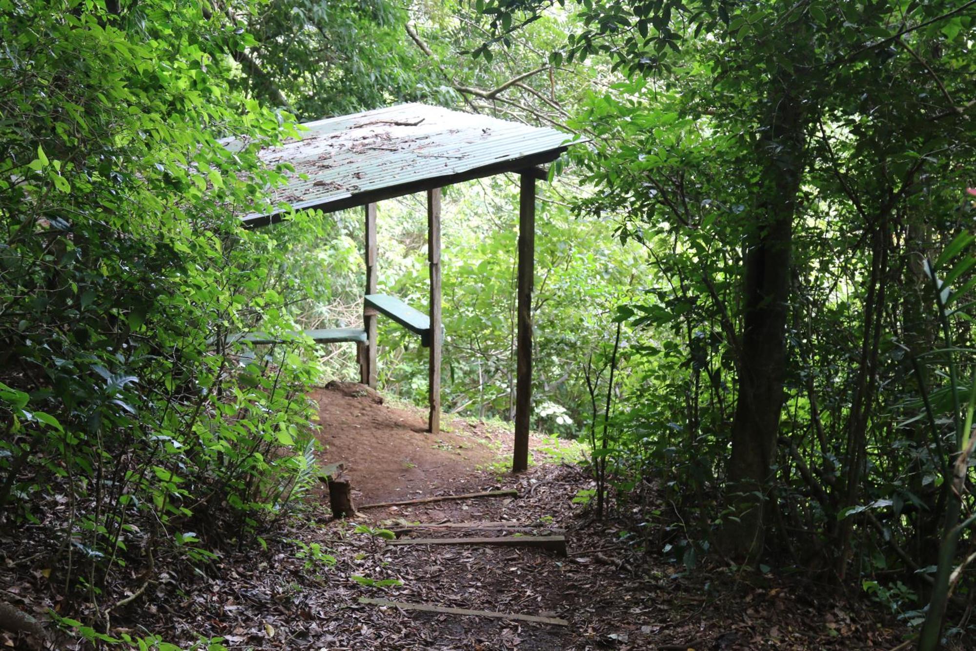 Santuario Ecologico Monteverde 外观 照片