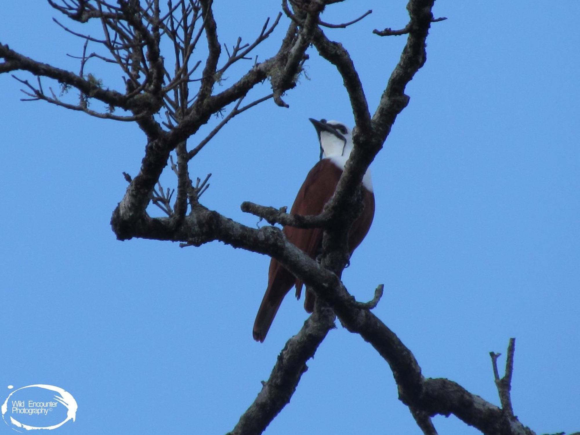 Santuario Ecologico Monteverde 外观 照片