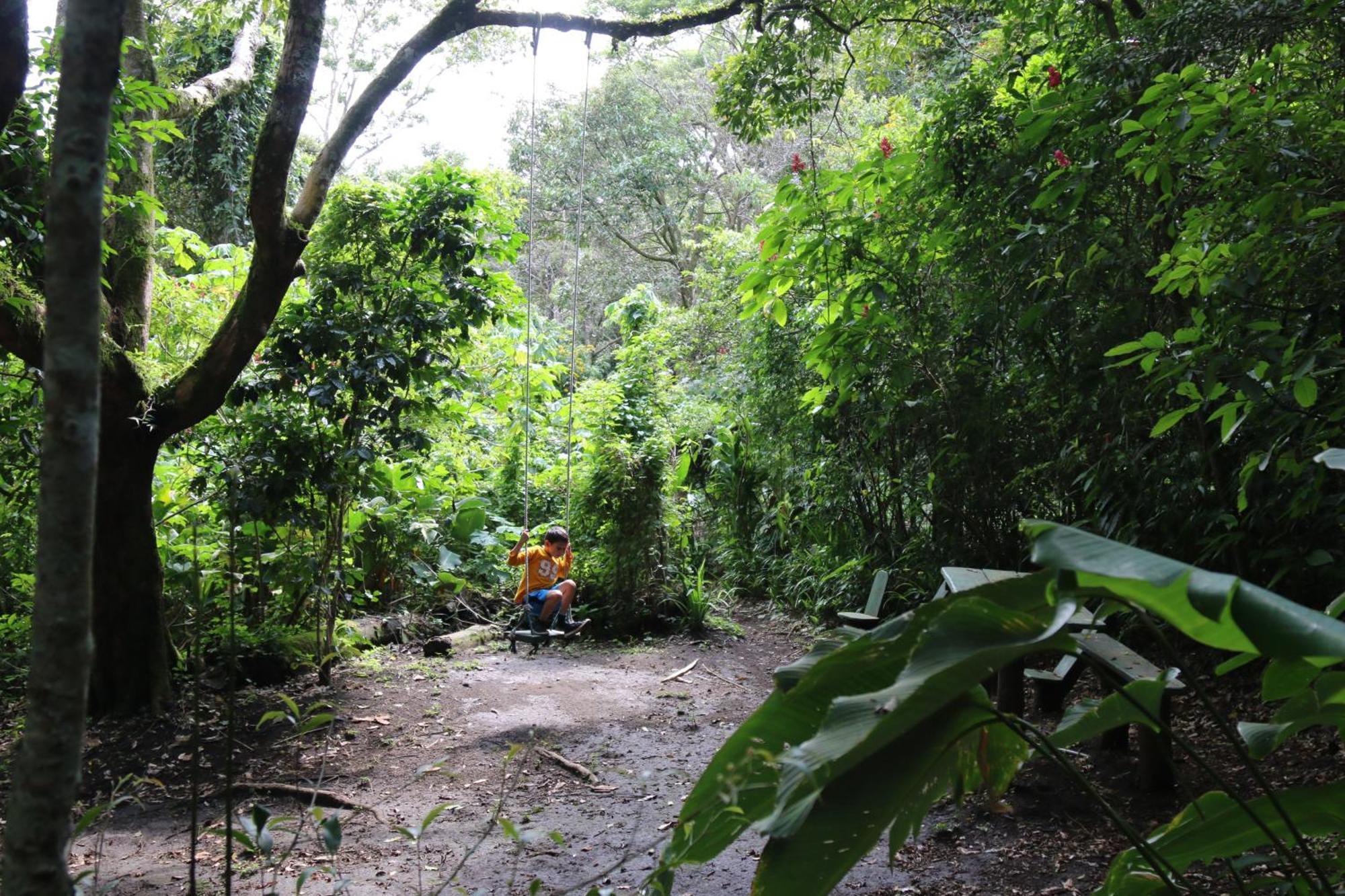 Santuario Ecologico Monteverde 外观 照片