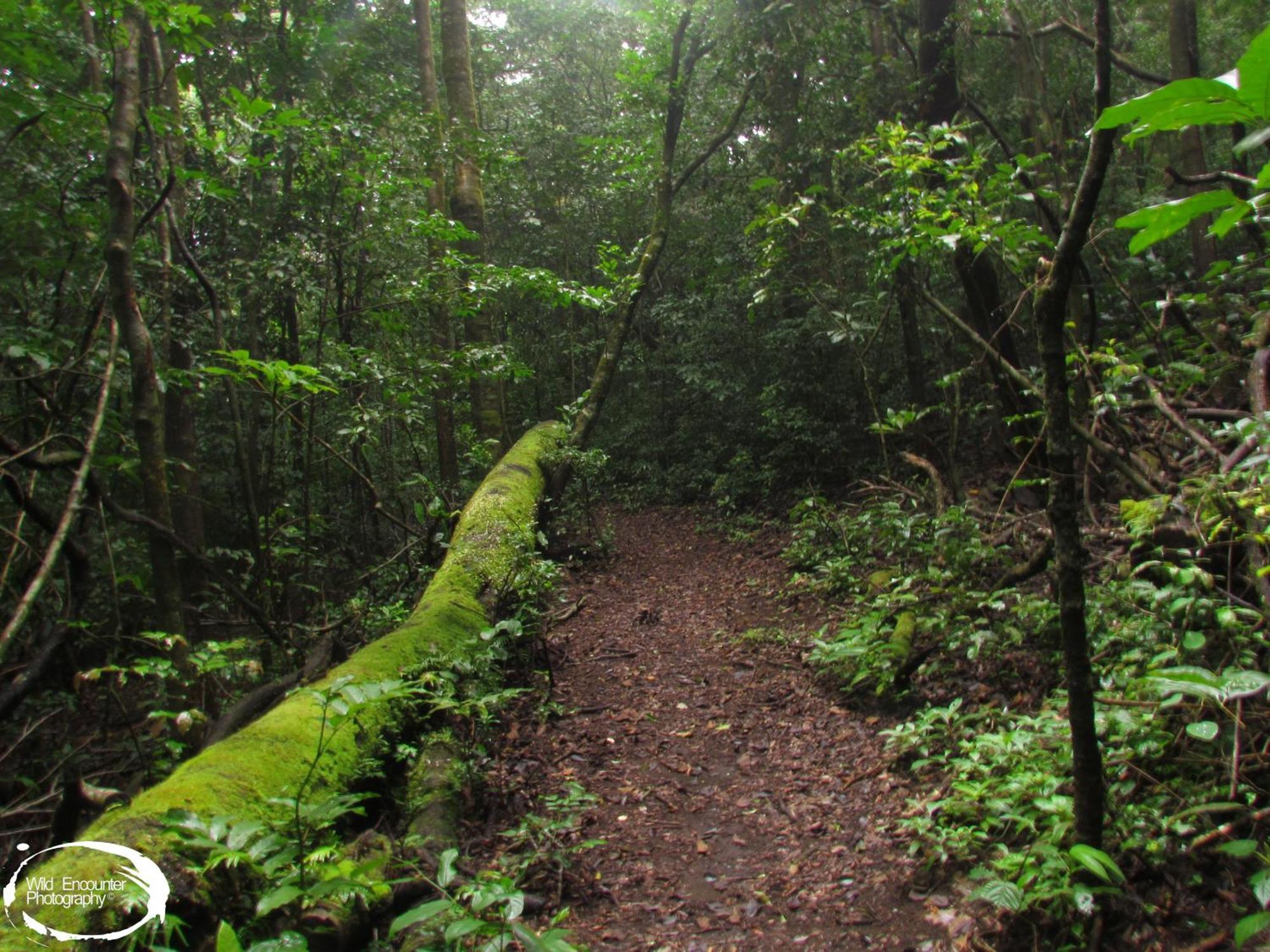 Santuario Ecologico Monteverde 外观 照片