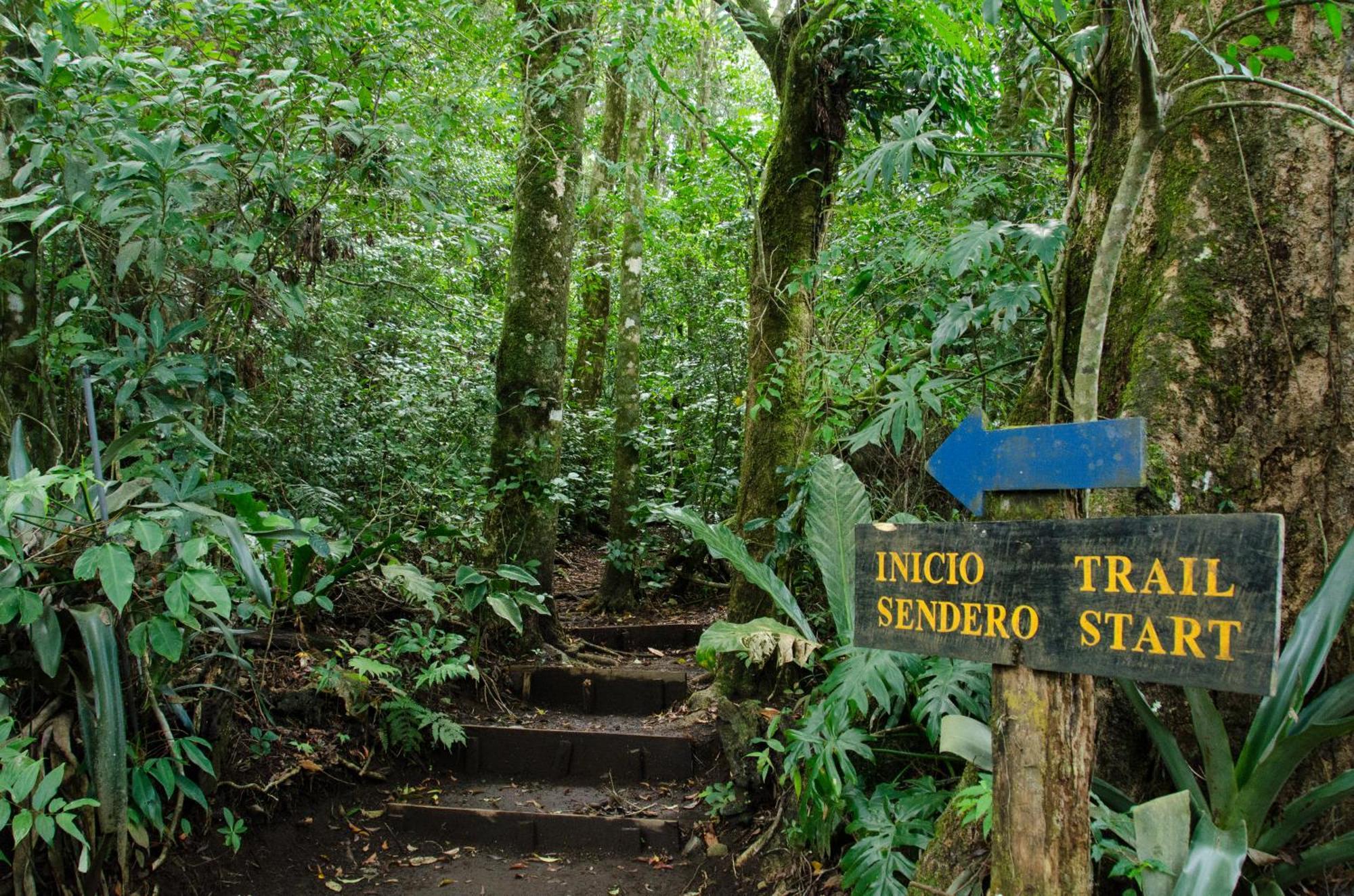 Santuario Ecologico Monteverde 外观 照片
