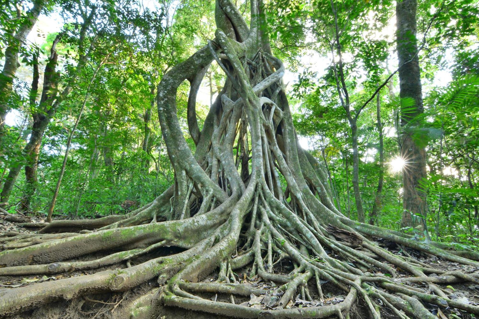 Santuario Ecologico Monteverde 外观 照片