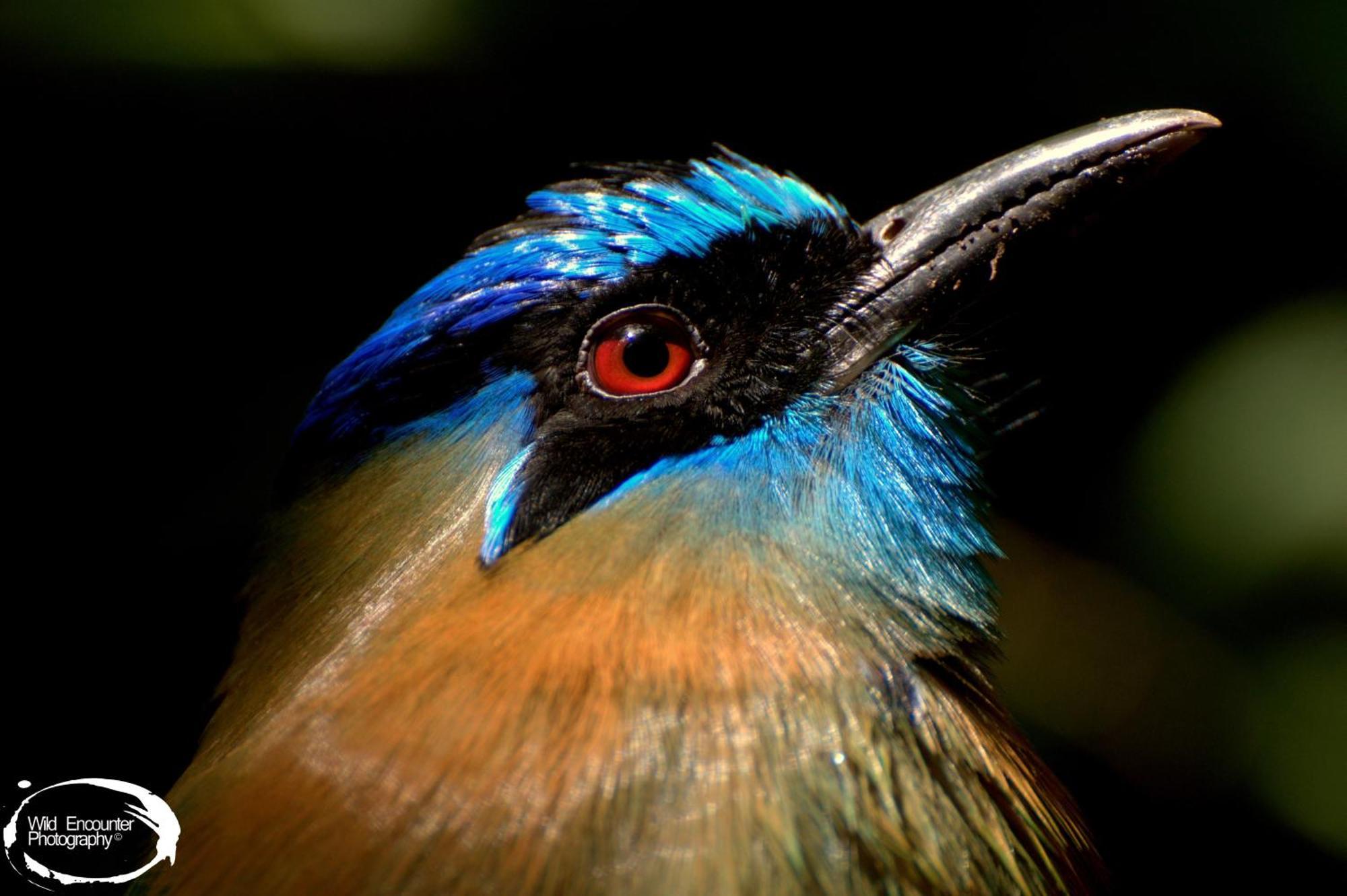 Santuario Ecologico Monteverde 外观 照片