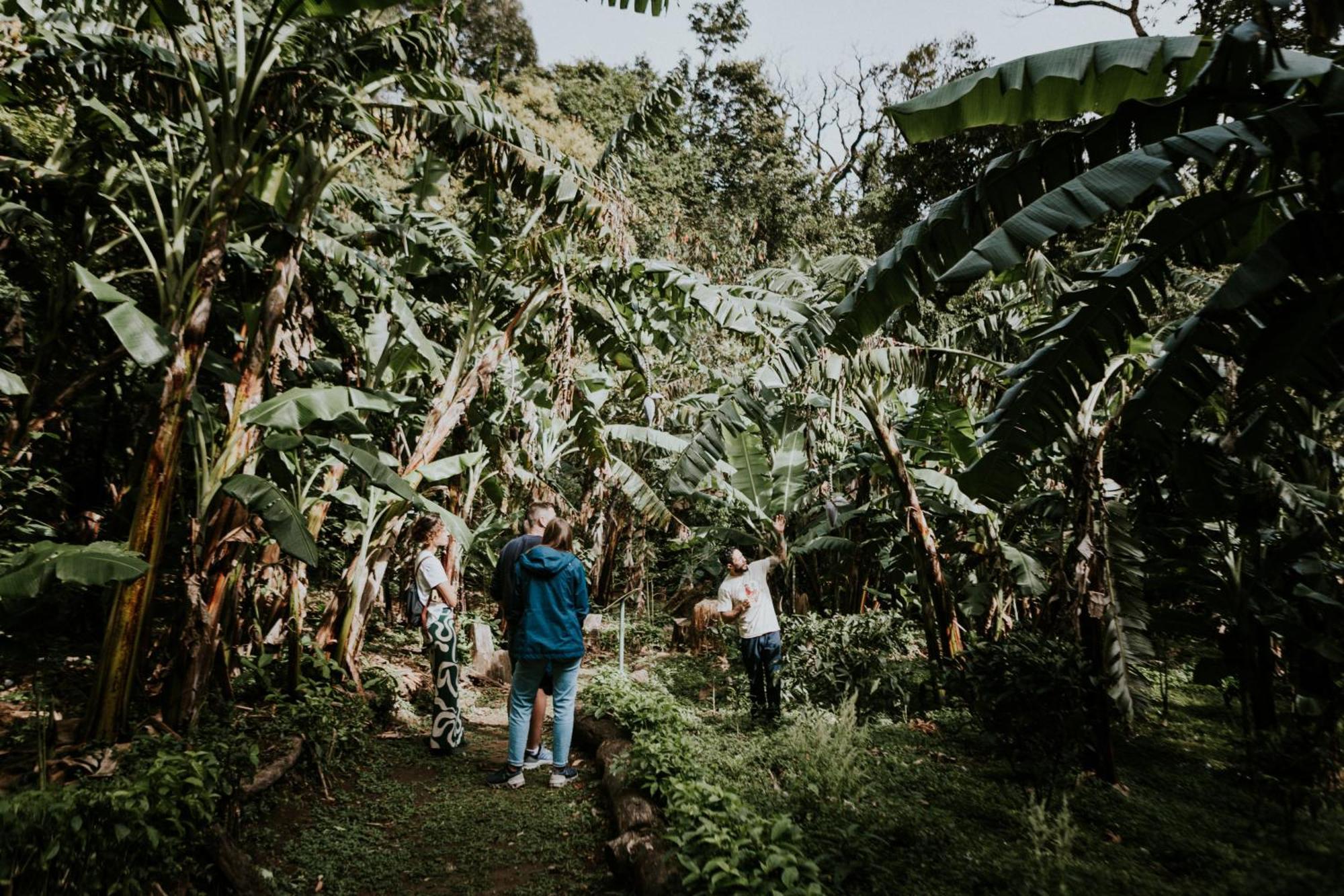 Santuario Ecologico Monteverde 外观 照片