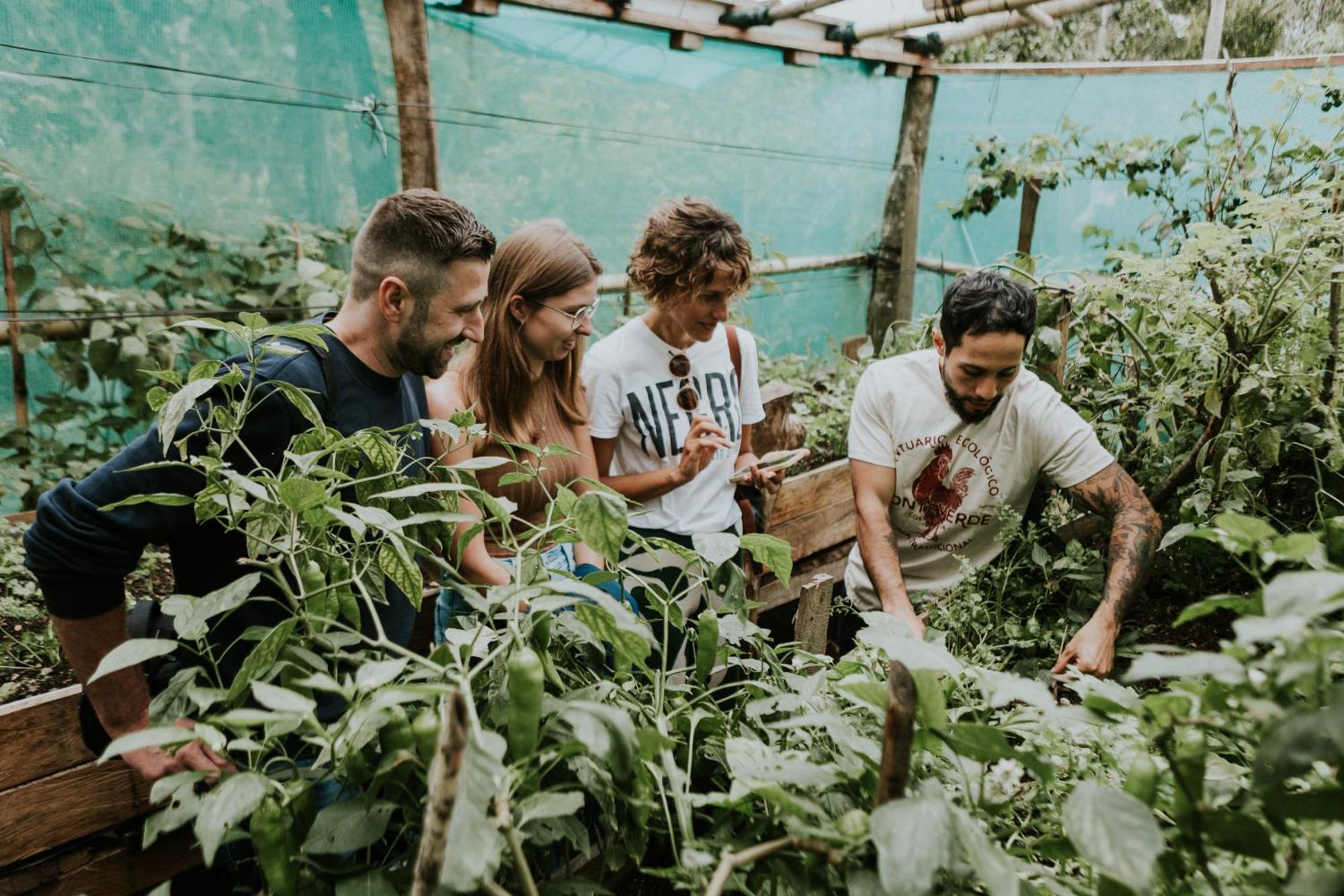 Santuario Ecologico Monteverde 外观 照片