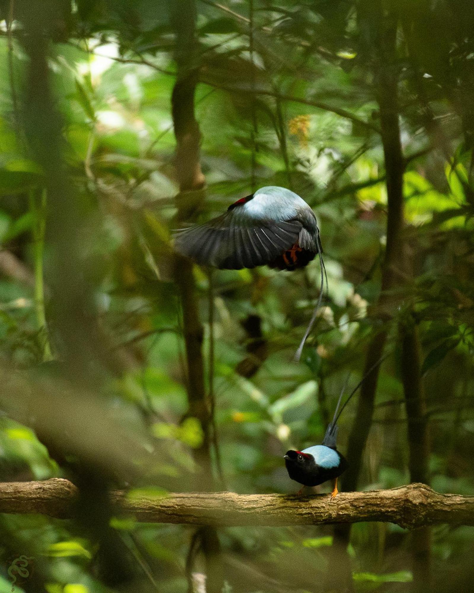 Santuario Ecologico Monteverde 外观 照片