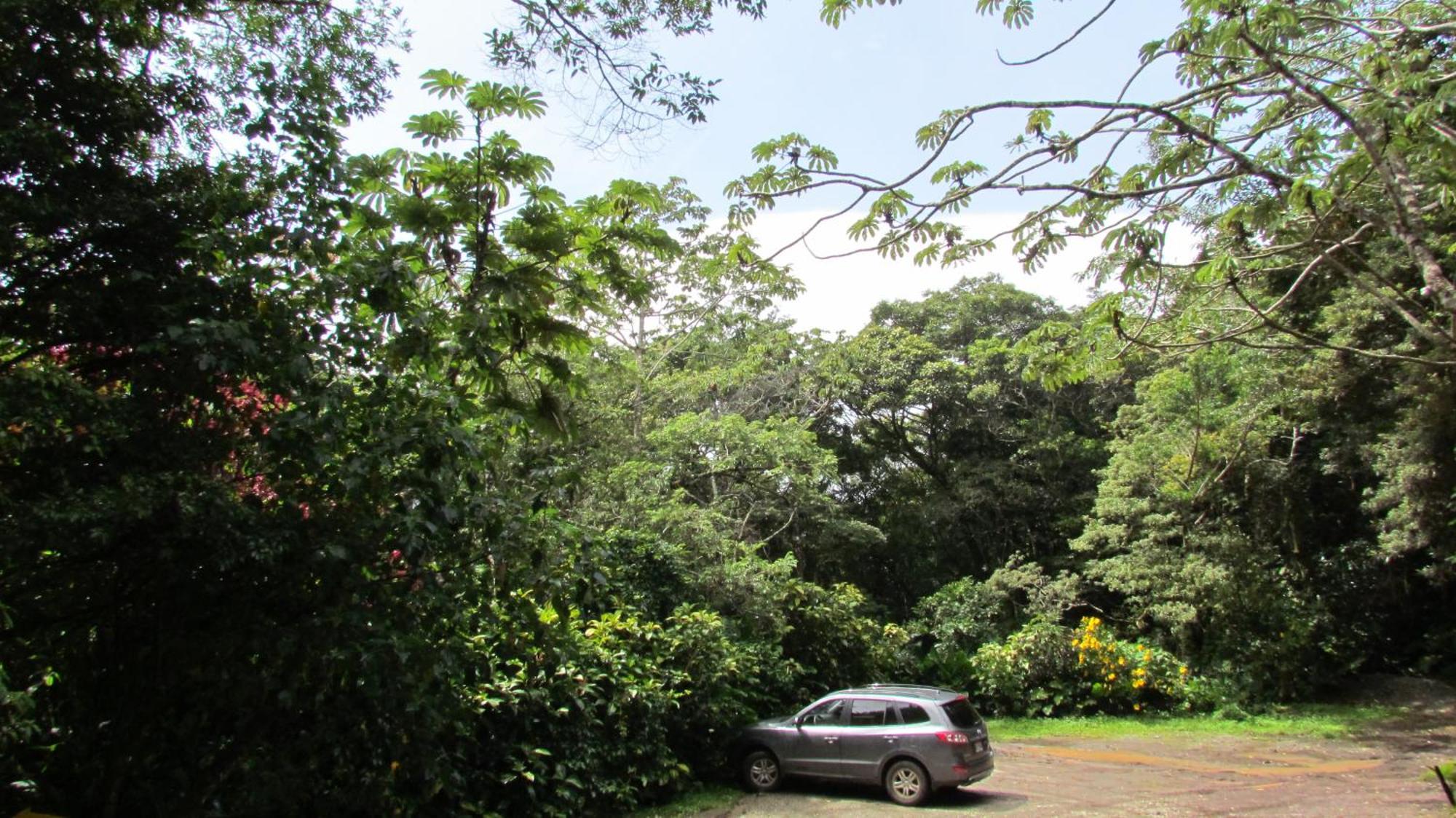 Santuario Ecologico Monteverde 外观 照片
